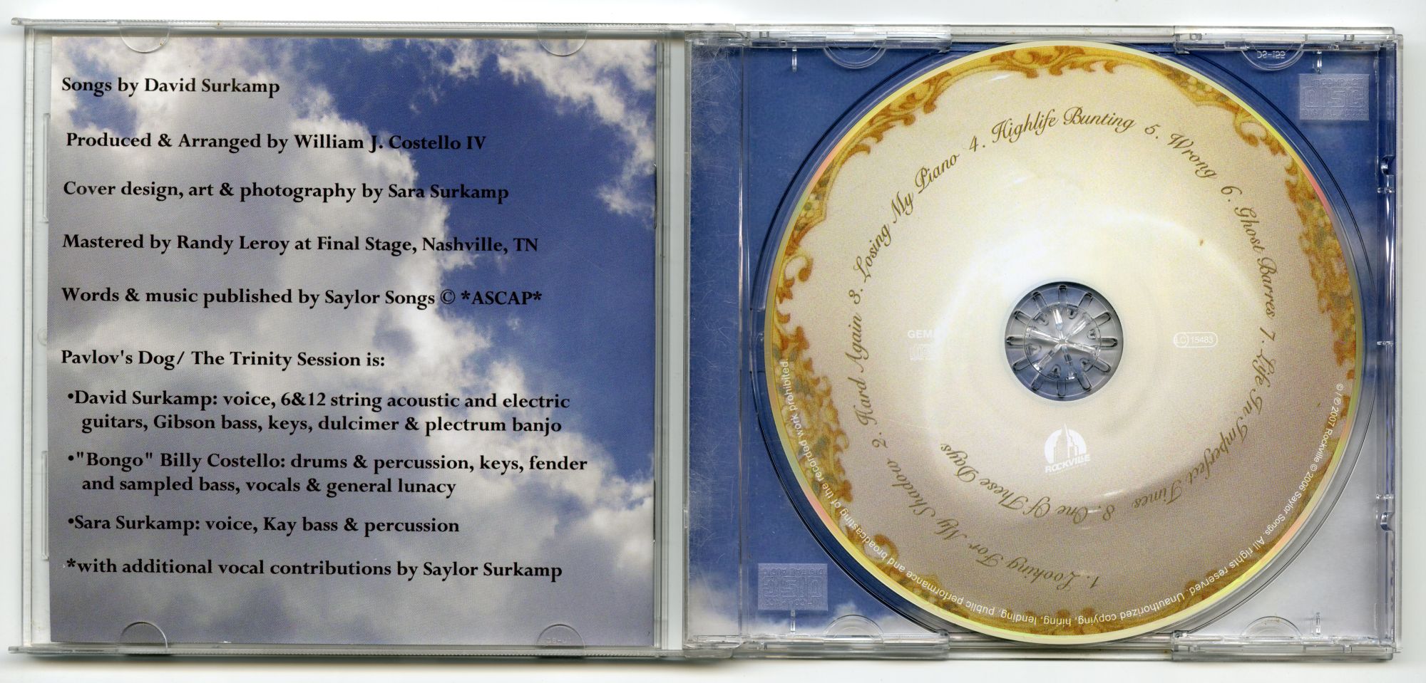 David Surkamp『Dancing On The Edge Of A Teacup』02